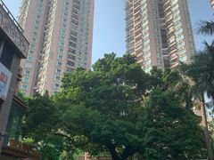 -宝兴源记手撕鸡(第88分店)