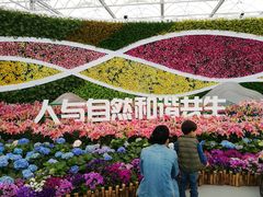 -万顷园艺世界