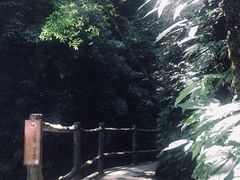 -神龙峡风景区