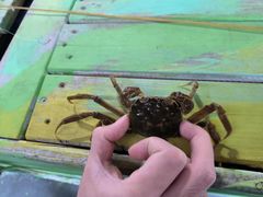 -小象钓虾·营地烧烤(洛溪店)