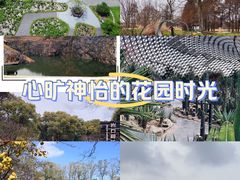 -上海辰山植物园