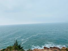 -广东惠东海龟国家级自然保护区