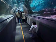 -大连圣亚海洋世界
