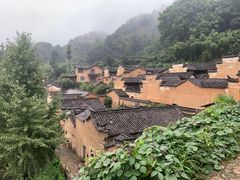 -杨家堂村