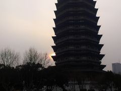 -红梅公园