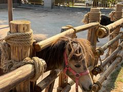 -福州罗源湾海洋世界旅游区