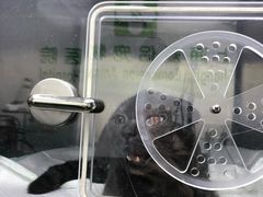 -爱侣宠医·鹦鹉专科·小型哺乳类·异宠专科(灵石路店)