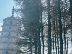 -塞罕坝国家级自然保护区