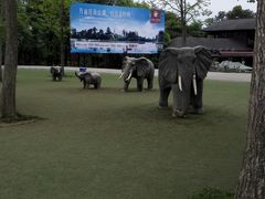 -保利石象湖景区