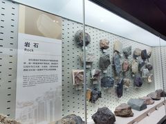 -浙江自然博物院(杭州馆)