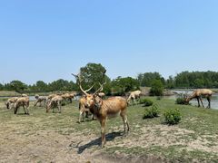 -溱湖国家湿地公园