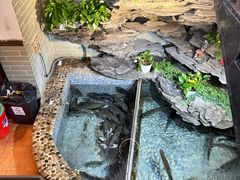 -山水茶艺馆·点心粤菜·30年老字号