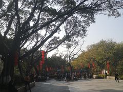 -东湖公园游乐场