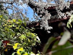 -龙华寺