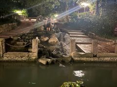 -成都市活水公园