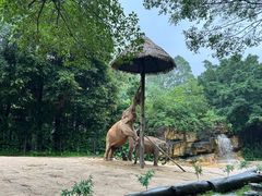 -广州长隆野生动物世界