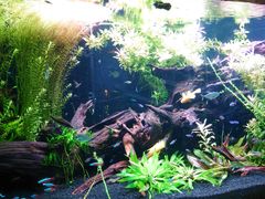 -上海海洋水族馆