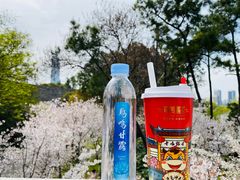 -鸡鸣赐茶(鸡鸣寺路店)