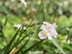 -仙海旅游度假区