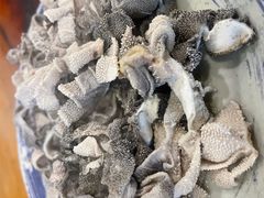 爆肚金生隆-金生隆(六铺炕店)