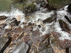 -石台牯牛降景区
