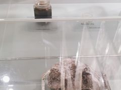 -上海纺织博物馆