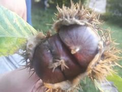 -北京宽沟会议中心