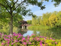 -苏州太湖国家湿地公园