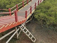 -北海金海湾红树林生态旅游区