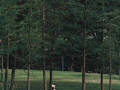 -香蜜公园