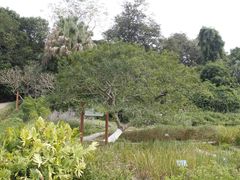 -广西壮族自治区药用植物园