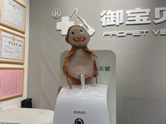 -御宝贝24h宠物医院·转诊中心·CT核磁血透中心(厦门总院)