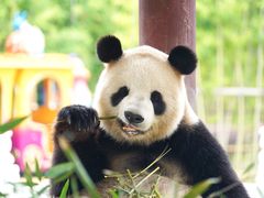 -杭州野生动物世界