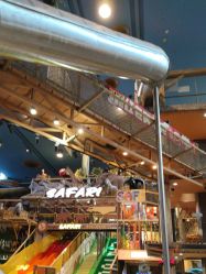 -卡通尼·Safari非洲探索乐园·生日会(金桥国际商业广场店)