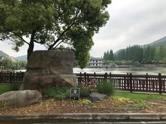 -黄贤森林公园