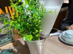 -探窝·竹笙椰子鸡(杨箕店)