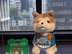 -西武百货(涩谷店)