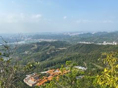 -深圳仙湖植物园