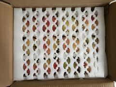 -南汇水蜜桃采摘(大团店)