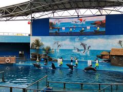 -石林冰雪海洋世界