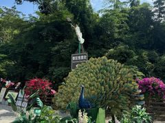-西双版纳原始森林公园
