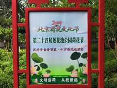-莲花池公园