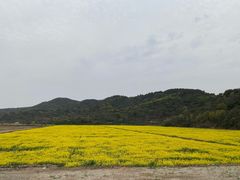 -苏州吴中太湖旅游区