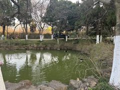 -太湖饭店玉兰厅(自助餐厅)