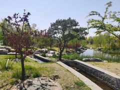 -晋祠公园