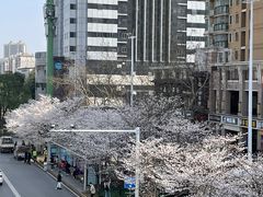 -华中科技大学光谷体育馆