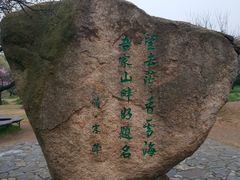 -香雪海
