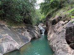 -广州白江湖森林公园