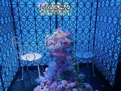 -MOSSO·Liveshow(M3香港广场店)