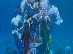 -波塞冬旅游度假区